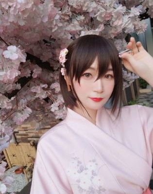 国色芳华电视剧在线观看