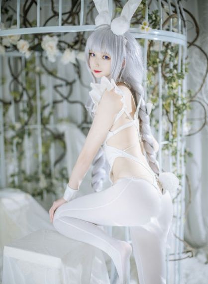 我和婚姻的战斗电视剧免费观看
